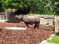 2012-07-09 12.53.32